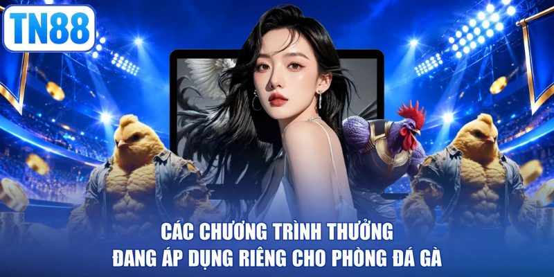 Các chương trình thưởng đang áp dụng riêng cho phòng đá gà