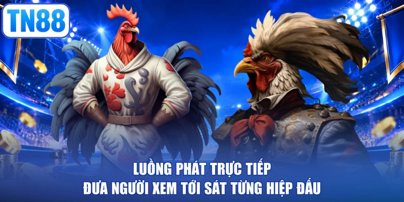 Luồng phát trực tiếp đưa người xem tới sát từng hiệp đấu